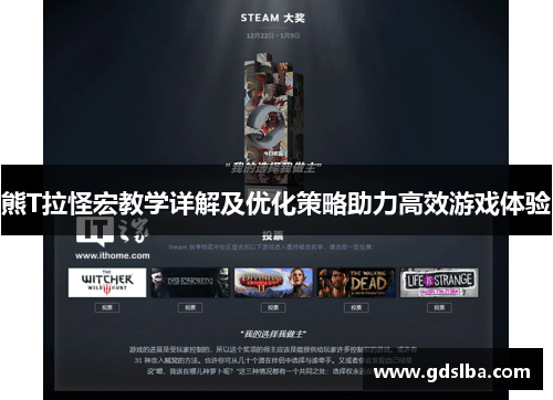 熊T拉怪宏教学详解及优化策略助力高效游戏体验